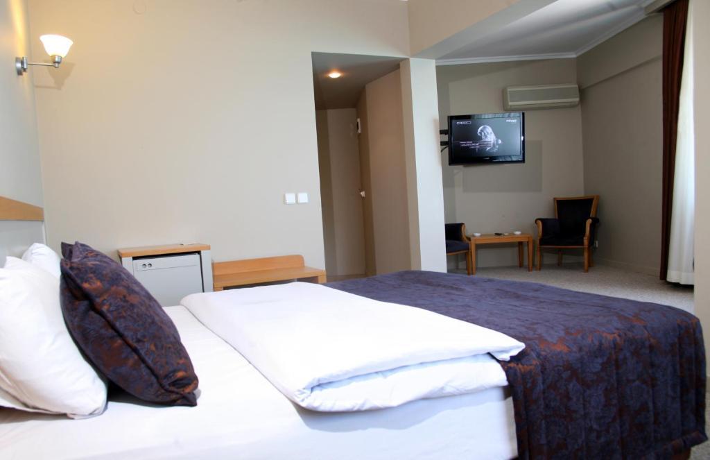 Baliktasi Hotel Ordu Bilik gambar